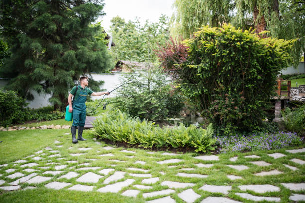 Professional Pest Control in Swartz, LA