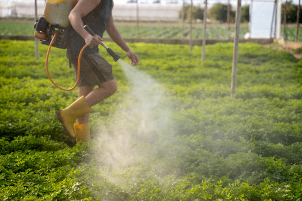 Best Affordable Pest Control Services  in Swartz, LA