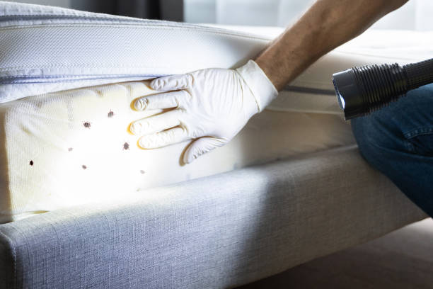 Best Wildlife Control Services  in Swartz, LA